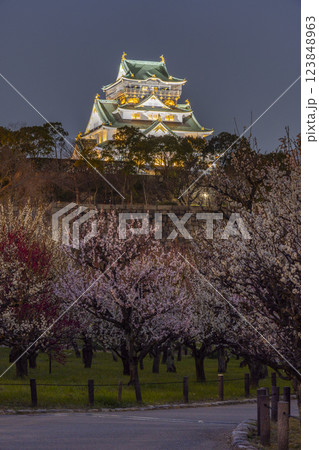 夜の大阪城梅林 満開の梅と大阪城天守閣 夜の大阪城梅林 満開の梅と大阪城天守閣 123848963