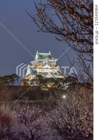 夜の大阪城梅林 満開の梅と大阪城天守閣 夜の大阪城梅林 満開の梅と大阪城天守閣 123848964