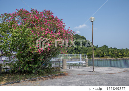 富岡並木ふなだまり公園 神奈川県横浜市金沢区富岡東 富岡並木ふなだまり公園 神奈川県横浜市金沢区富岡東 123849275