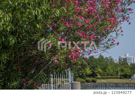 富岡並木ふなだまり公園　神奈川県横浜市金沢区富岡東 123849277