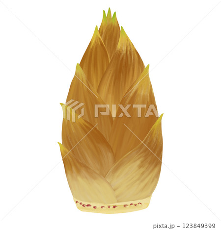 春の味覚、旬の野菜の筍のイラスト素材 123849399
