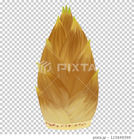 春の味覚、旬の野菜の筍のイラスト素材 123849399