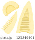 皮を剥いてカットした筍のイラスト素材セット、春の味覚、旬の野菜 123849401