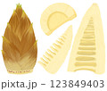 皮付きの筍と皮を剥いてカットした筍のイラスト素材セット、旬の野菜、春の味覚 123849403
