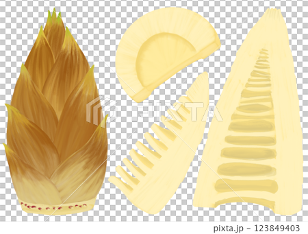 Illustration set of bamboo shoots with skin and peeled and cut bamboo shoots, seasonal vegetables, spring flavors Illustration set of bamboo shoots with skin and peeled and cut bamboo shoots, seasonal vegetables, spring flavors 123849403