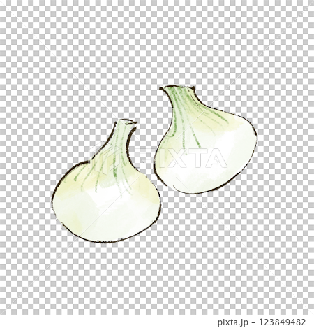 Illustration of new onions in watercolor style 123849482