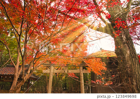 紅葉美しい秋の京都・イメージ写真 紅葉美しい秋の京都・イメージ写真 123849698
