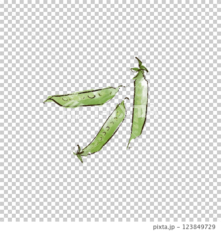 さやえんどうのイラスト　水彩風 123849729