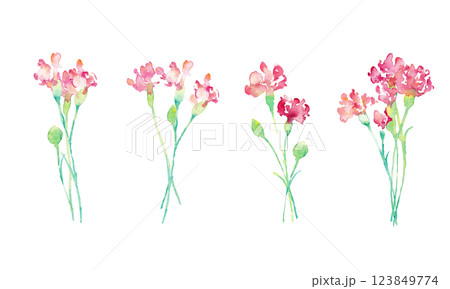 水彩画。水彩タッチの母の日カーネーションイラスト。母の日のカーネーション背景ベクターイラスト。 123849774
