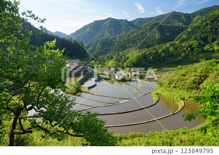 田植えを終えた広島県安芸太田町井仁の棚田風景　Ver3 123849795