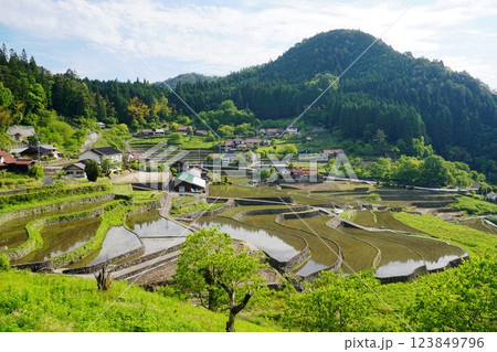 田植えを終えた広島県安芸太田町井仁の棚田風景　Ver2 123849796