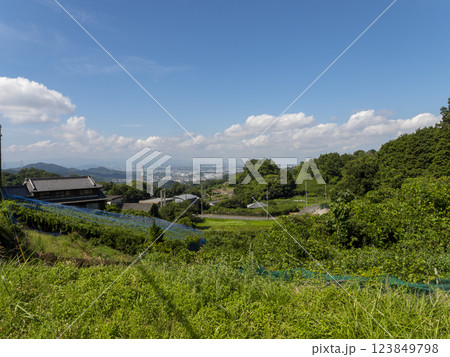 大阪府柏原市の高尾山から見る風景 大阪府柏原市の高尾山から見る風景 123849798