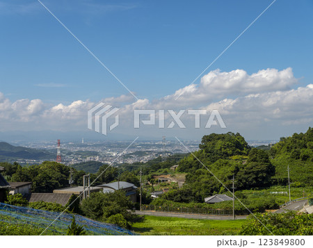 大阪府柏原市の高尾山から見る風景 123849800