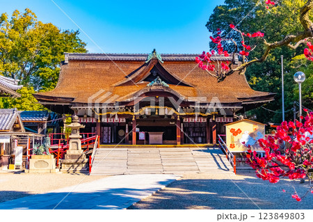 大阪府 道明寺天満宮の拝殿 大阪府 道明寺天満宮の拝殿 123849803