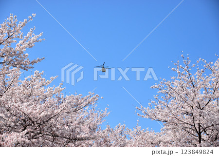 災害 山火事等派遣大型輸送用ヘリコプターCH-47チヌーク 災害 山火事等派遣大型輸送用ヘリコプターCH-47チヌーク 123849824