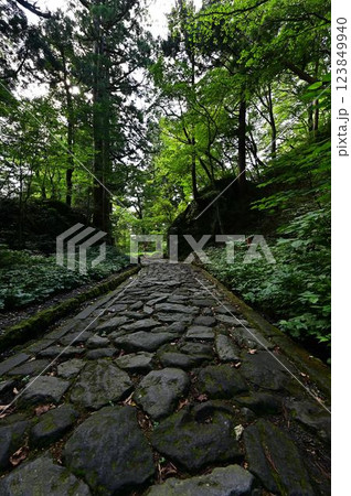 新緑の大神山神社 123849940
