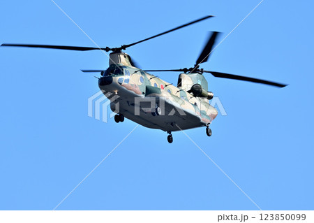 災害 山火事等派遣大型輸送用ヘリコプターCH-47チヌーク 123850099