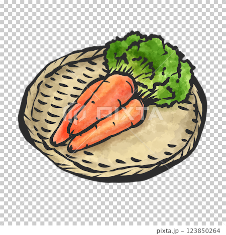 Spring carrot hand-drawn illustration 123850264