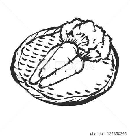 春にんじんの手描き筆絵風イラスト 123850265