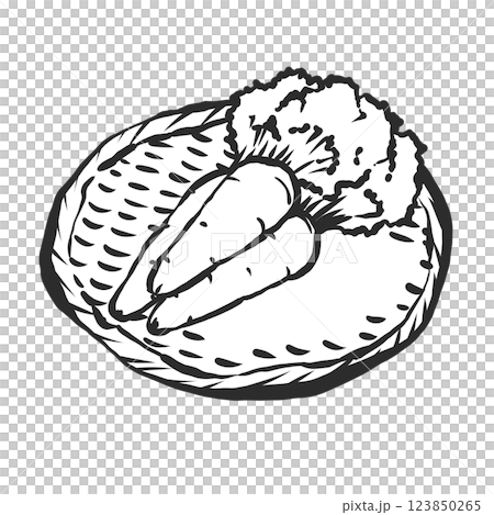 Spring carrot hand-drawn illustration 123850265