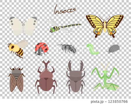 Set of insects_natural flat design 123850766