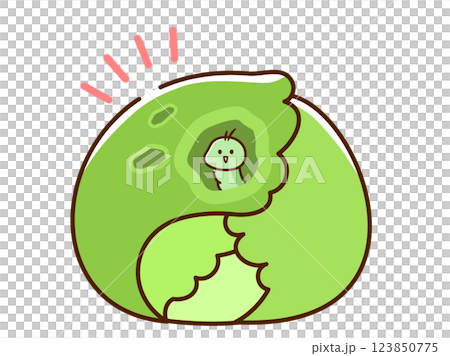 蠕蟲白菜 123850775