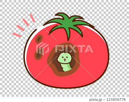 Worm-eaten tomato 123850776