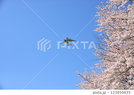航空自衛隊 入間基地所属 C-2輸送機 離陸 航空自衛隊 入間基地所属 C-2輸送機 離陸 123850835