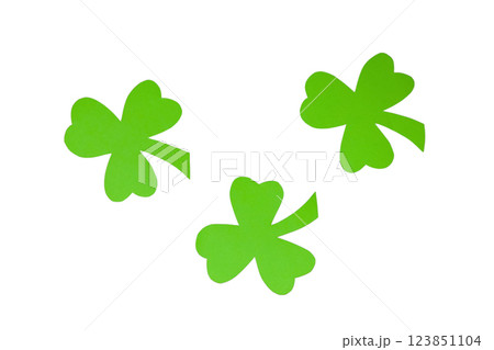 Patrick`s day, green clover leaves isolated on white background, top view, PNG Patrick`s day, green clover leaves isolated on white background, top view, PNG 123851104