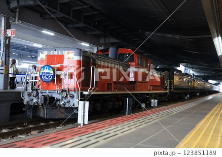 【JR西日本】DD51形＋14系「サロンカーなにわ」（JR京都線：大阪駅） 123851189