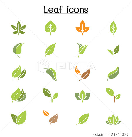 Leaf icon set in flat color style Leaf icon set in flat color style 123851827