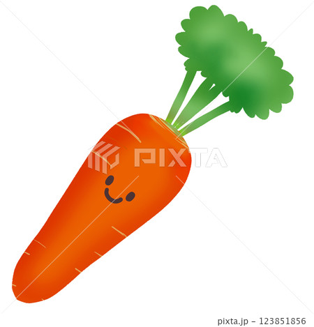 フチなし可愛い人参のイラスト 123851856