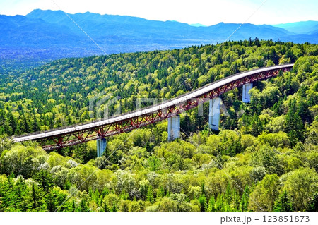 北海道上士幌町　三国峠 松見大橋を望む絶景 123851873