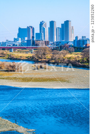 日本の東京都市景観2月11日…多摩川や水鳥、川崎・武蔵小杉駅前のタワーマンション群など望む=令和7年 日本の東京都市景観2月11日…多摩川や水鳥、川崎・武蔵小杉駅前のタワーマンション群など望む=令和7年 123852260