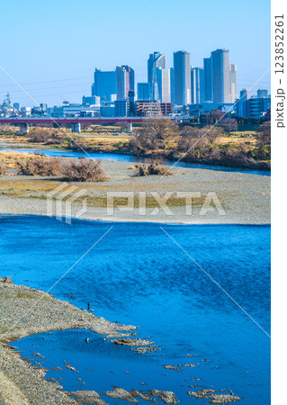 日本の東京都市景観2月11日…多摩川や水鳥、川崎・武蔵小杉駅前のタワーマンション群など望む=令和7年 日本の東京都市景観2月11日…多摩川や水鳥、川崎・武蔵小杉駅前のタワーマンション群など望む=令和7年 123852261