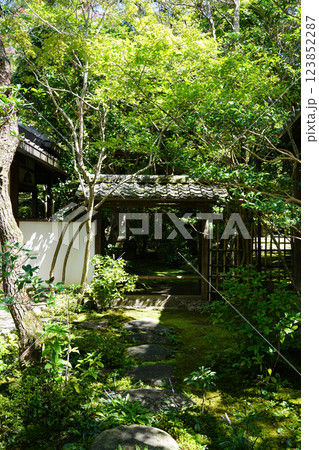 緑に囲まれた庭園 123852287