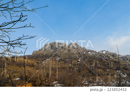 Stunning natural landscape with mountainside on trees, shrubs, grass grow and in background you can see top of mountain on background of blue sky. Natural background, screensaver, photo wallpaper 123852432