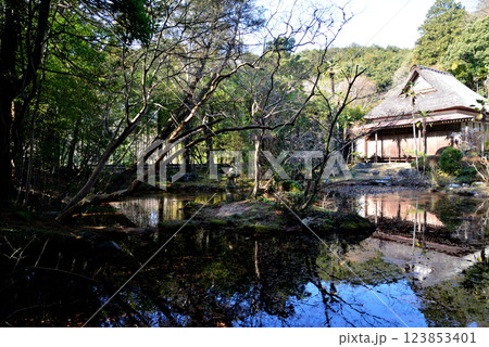 板敷山大覚寺　＃41 123853401