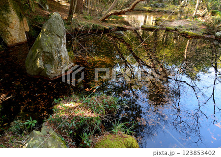 板敷山大覚寺 #42 板敷山大覚寺 #42 123853402