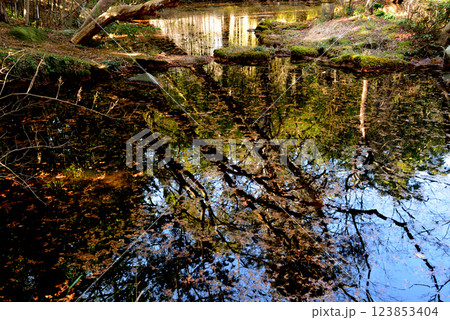 板敷山大覚寺　＃44 123853404