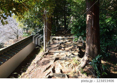 板敷山大覚寺　＃46 123853406
