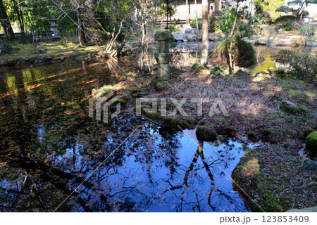 板敷山大覚寺 #49 板敷山大覚寺 #49 123853409