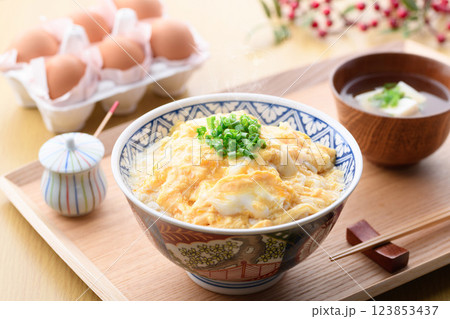 タマゴだけでつくる♪とろっとろあんかけ玉子丼 タマゴだけでつくる♪とろっとろあんかけ玉子丼 123853437