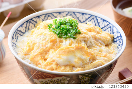 タマゴだけでつくる♪とろっとろあんかけ玉子丼 タマゴだけでつくる♪とろっとろあんかけ玉子丼 123853439