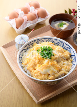 タマゴだけでつくる♪とろっとろあんかけ玉子丼 タマゴだけでつくる♪とろっとろあんかけ玉子丼 123853446