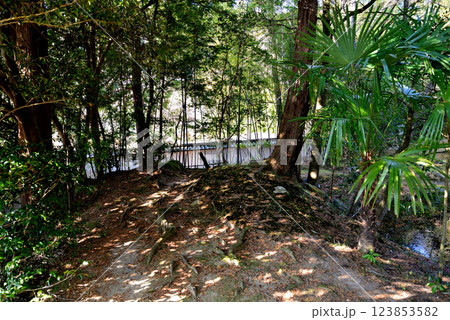 板敷山大覚寺　＃58 123853582