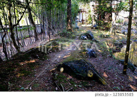板敷山大覚寺 #60 板敷山大覚寺 #60 123853585