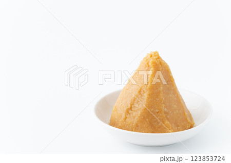 お皿に盛りつけた米味噌（白） 123853724
