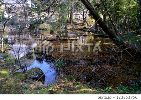 板敷山大覚寺 #62 板敷山大覚寺 #62 123853756
