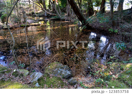 板敷山大覚寺 #64 板敷山大覚寺 #64 123853758